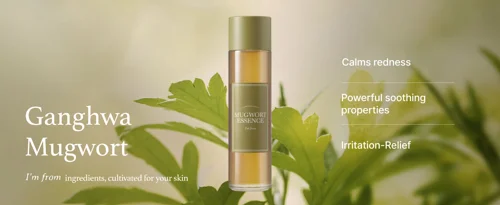 Mugwort Essence