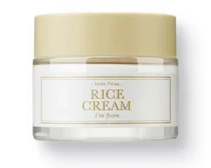 Rice Cream